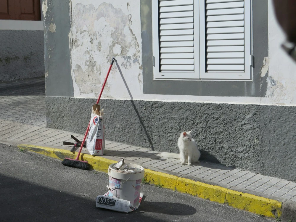 Kaldırım ve Bordür Uygulamaları